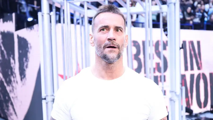 Wwes Cm Punk Plans Revealed Cultaholic Wrestling